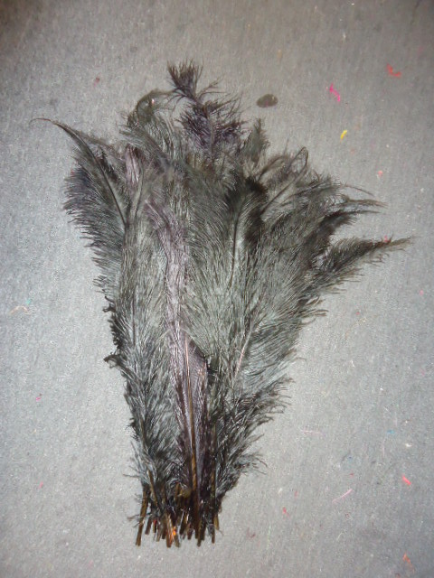Ostrich Feather Plume BLACK